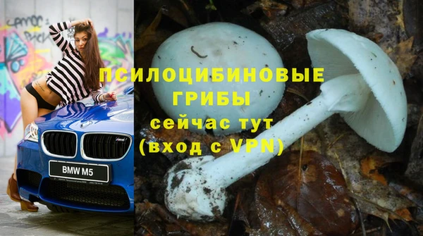 прущая мука Корсаков