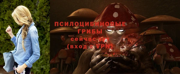 прущая мука Корсаков